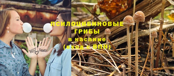 шишки Баксан