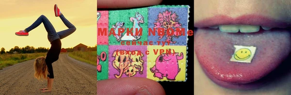 шишки Баксан