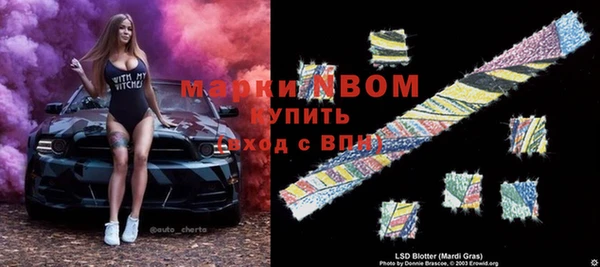 шишки Баксан