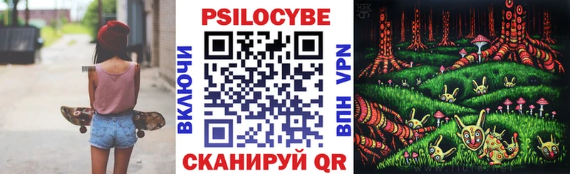 Псилоцибиновые грибы MAGIC MUSHROOMS что такое Гремячинск